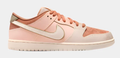 Nike SB Dunk Low Pro Trocadero